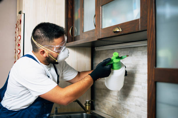 Best Spider Control Near Me  in Anaheim, CA