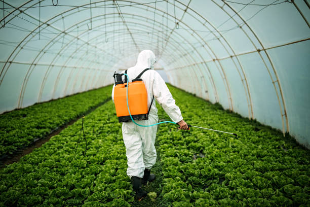 Best Local Pest Control Services  in Anaheim, CA
