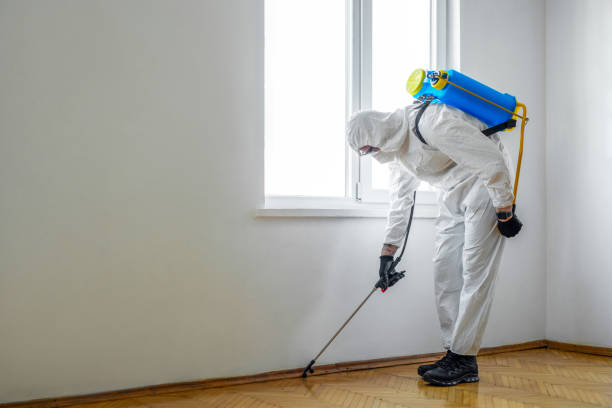 Best Pest Prevention Services  in Anaheim, CA