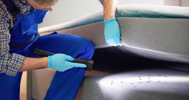 Best Flea Control Services  in Anaheim, CA