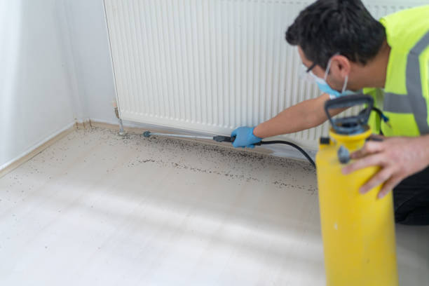 Best Pest Removal Services  in Anaheim, CA